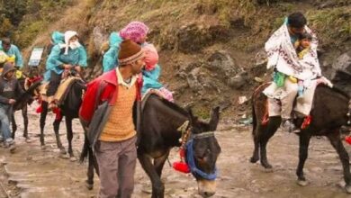 kedarnath