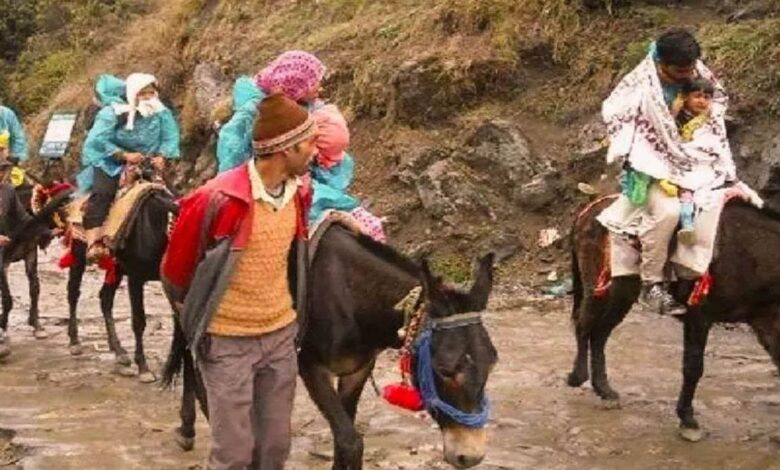 kedarnath